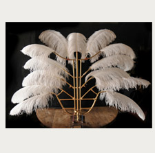 Triporteur à plumes